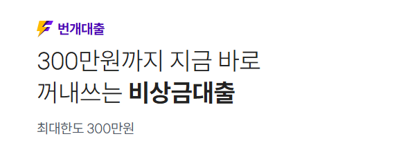 핀크 비상금 대출