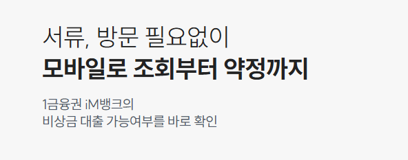 핀크 비상금 대출2