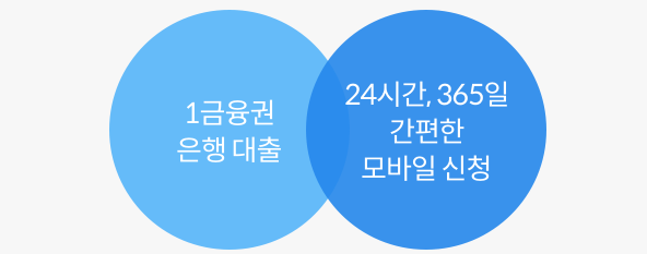 핀크 비상금 대출3