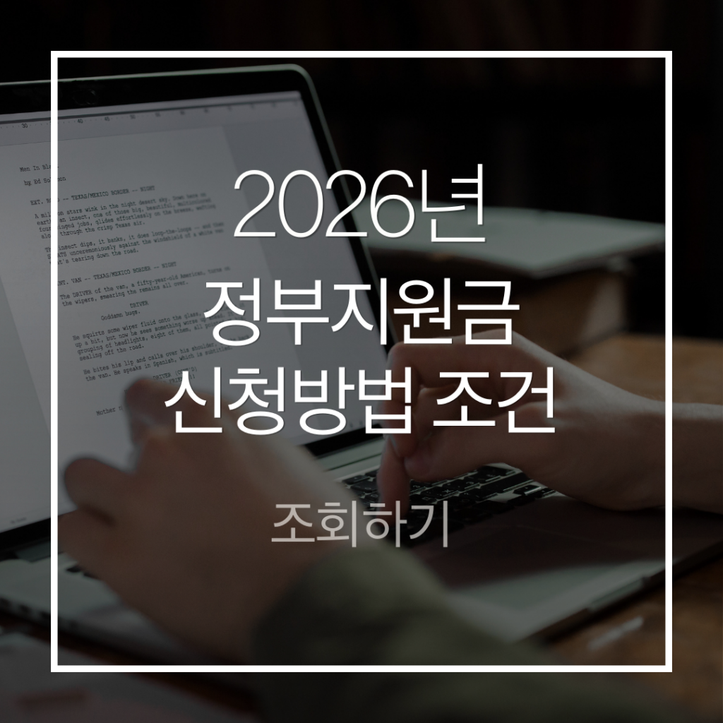 2026 정부지원금