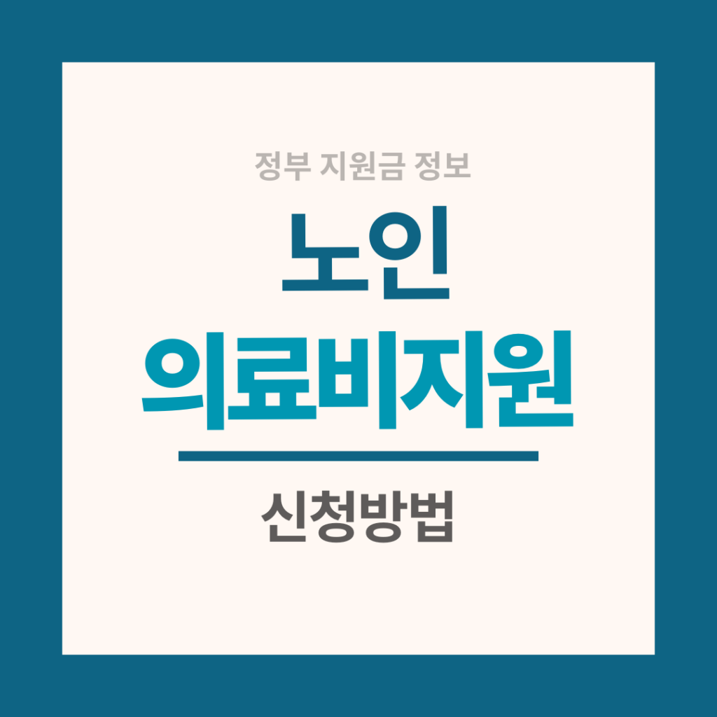 노인 의료비 지원