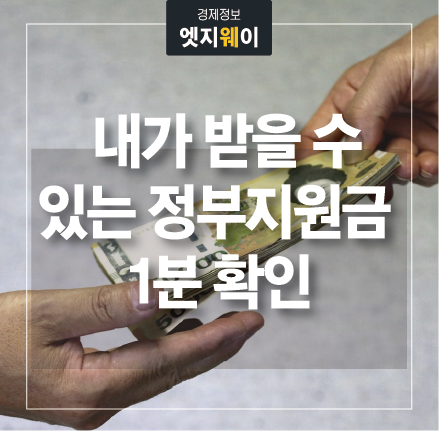 정부지원금