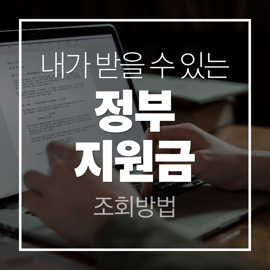 정부지원금 조회방법