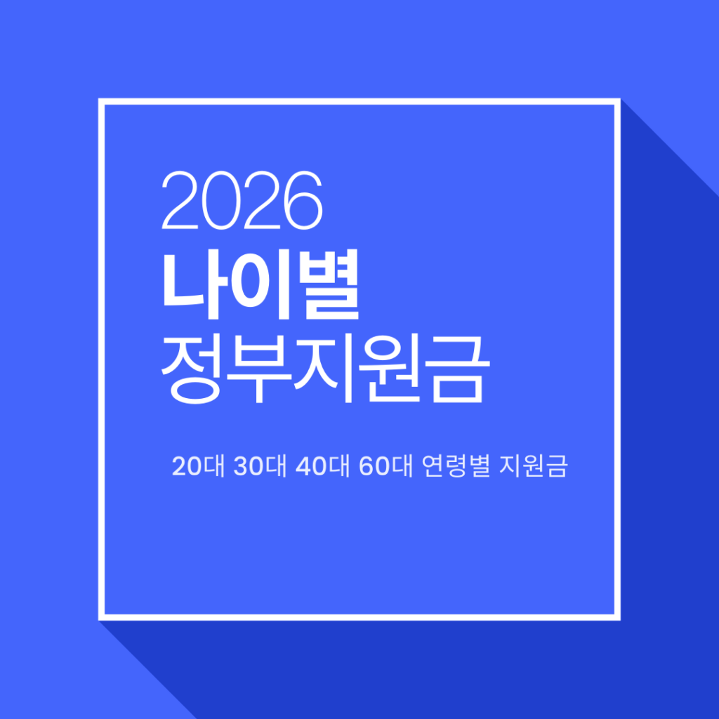 나이별 정부지원금