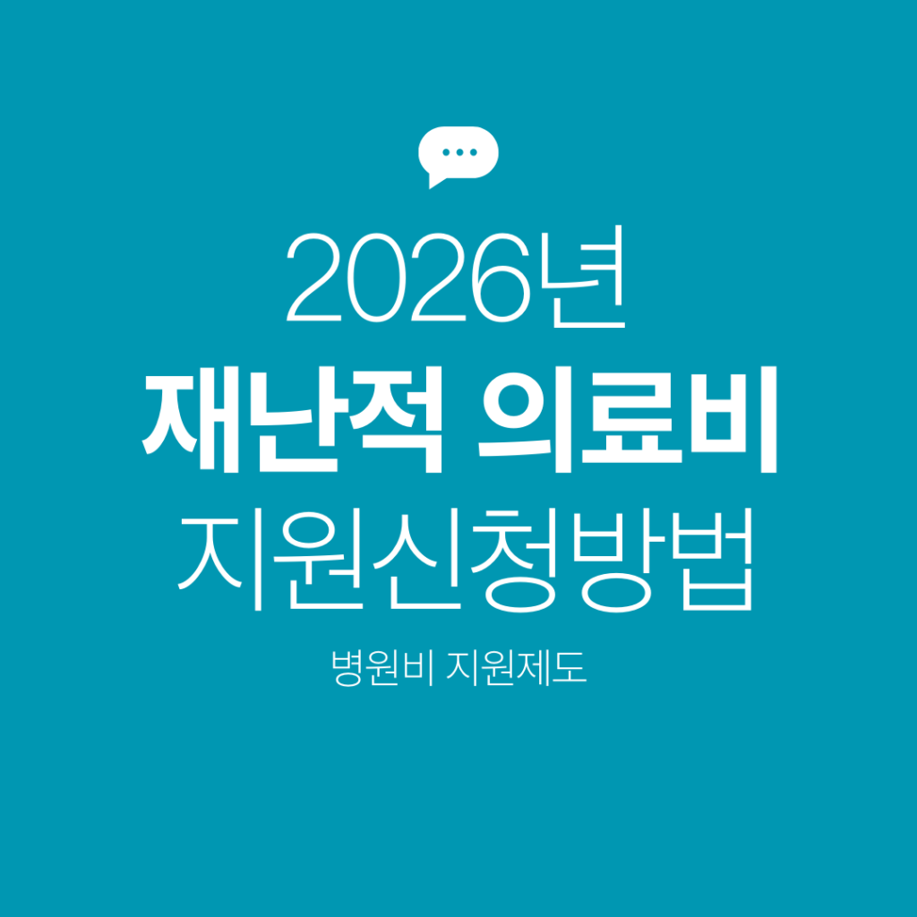 재난적 의료비 지원