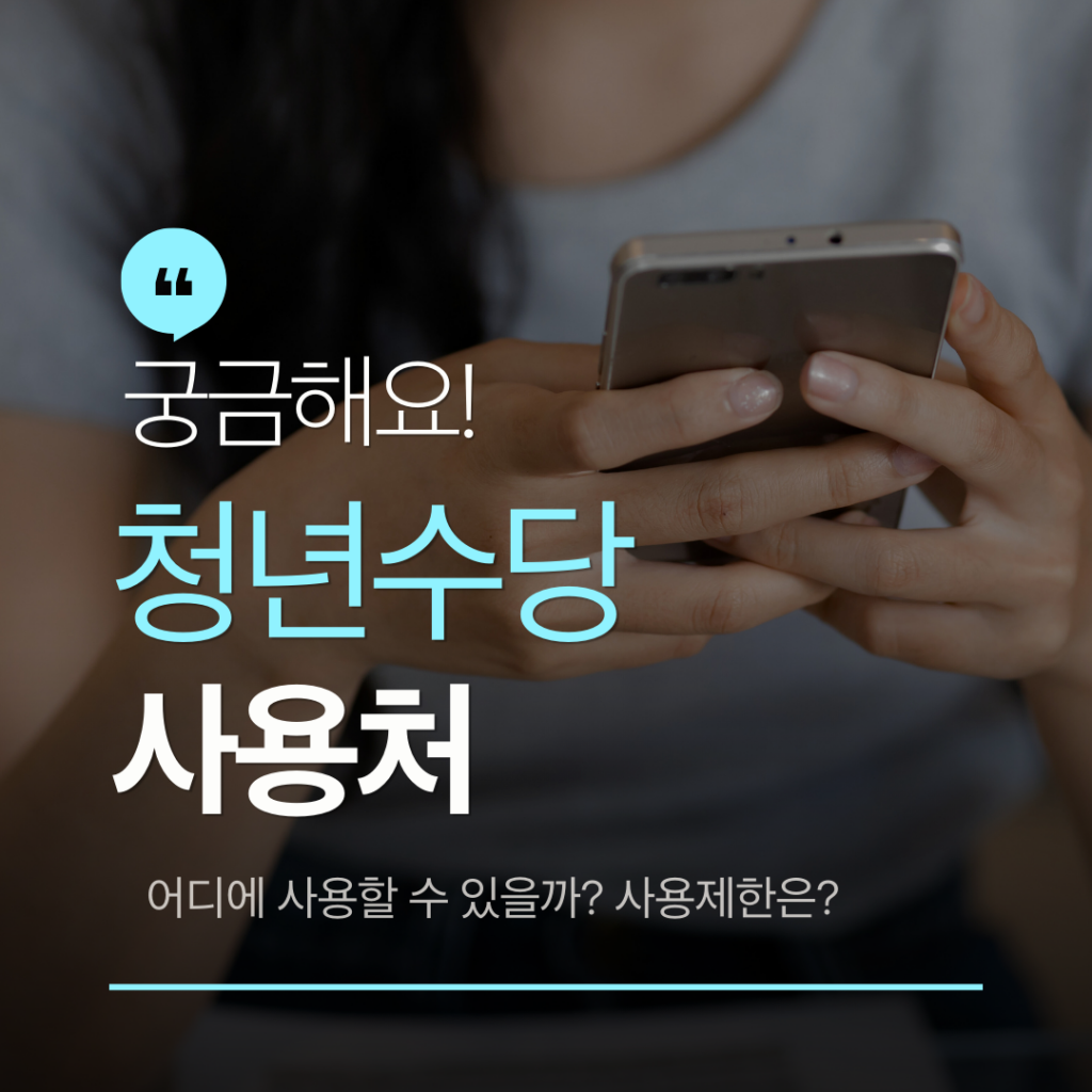 청년수당 사용처