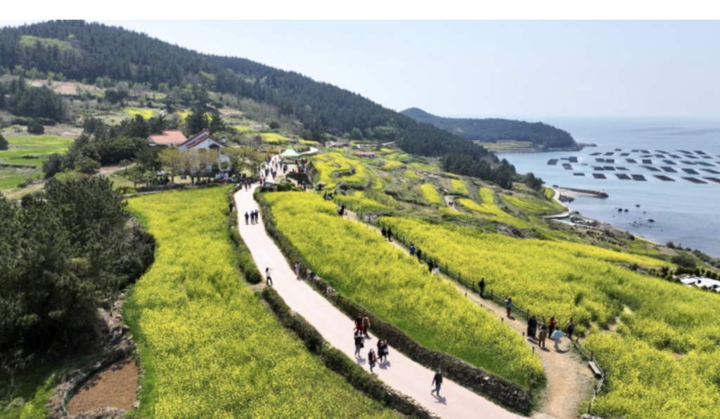 반값여행 지역별 신청 페이지