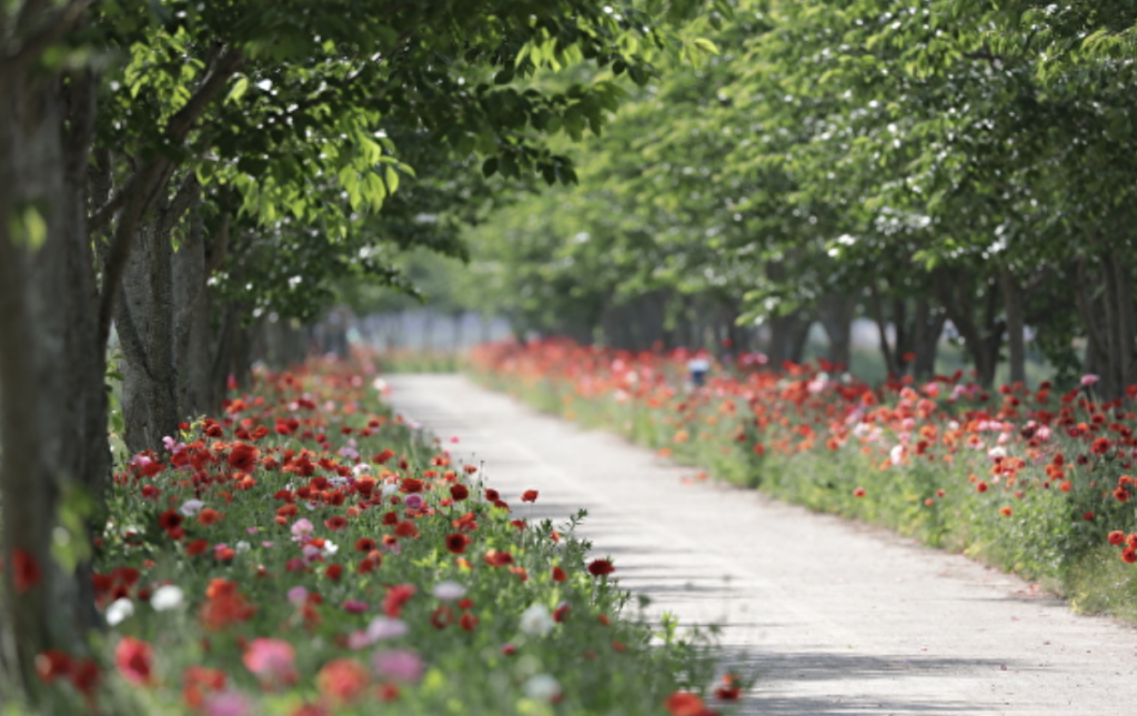 의령 사각사각 신청방법 한달살기